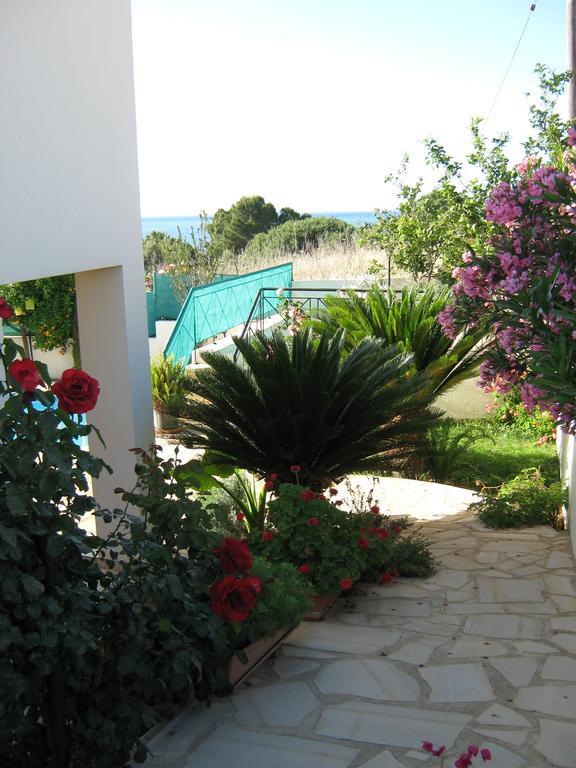 Villa Pergia Latchi Polis Rum bild